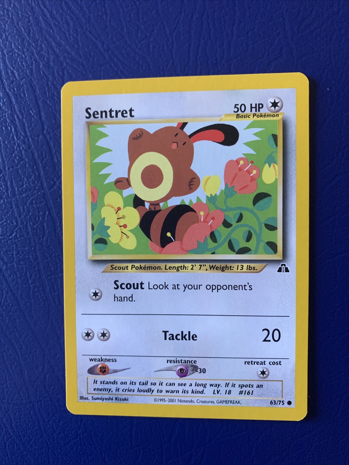 Sentret 63/75 Common Pokemon Card Neo Discovery Set Wizards of the ...
