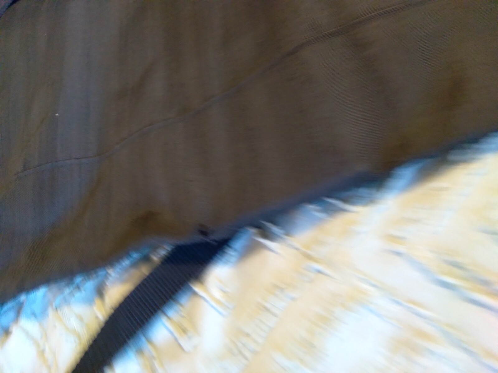 Picture 5 of 12