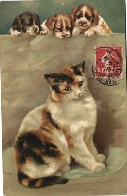 PC CPA KATZEN, DREI WELPEN BEOBACHTEN EINE KATZE, Vintage Postkarte (b27046)