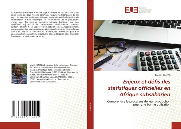 Martin Balepa | Enjeux Et DéFis Des Statistiques Officielles En Afrique...-image