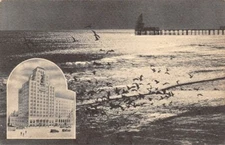 Senator Hotel Atlantic City  Eastern Offset