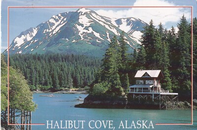 HALIBUT COVE ~ ALASKA ~ GEBRAUCHT ~ VERSCHICKT