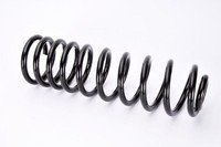 Magnum Technology Fahrwerksfeder SW064MT FüR VW
