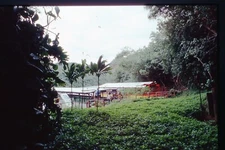 1980 Slide Docked Tour Boats Wailua River Kauai Hawaii #3987