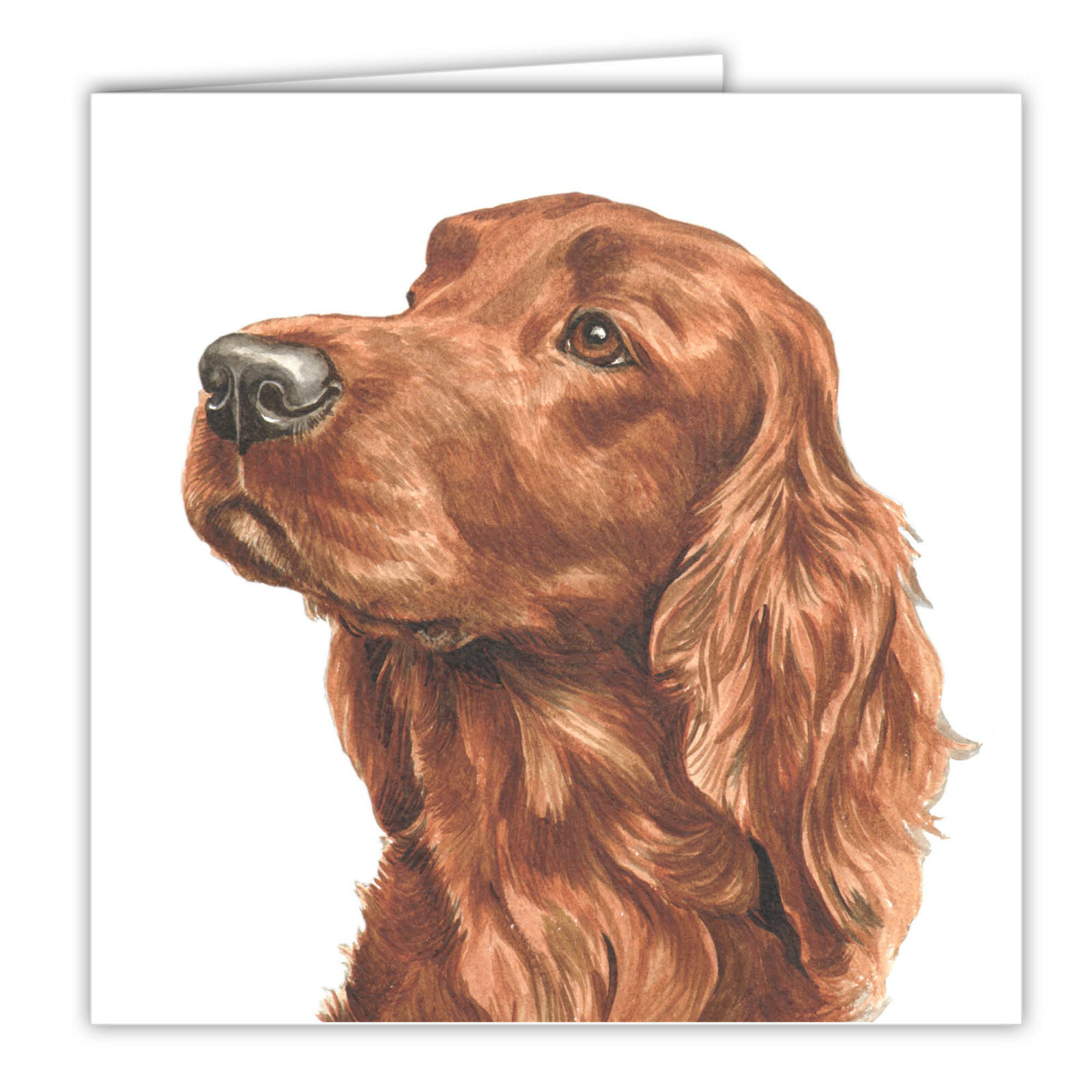 Irish Setter greetings card dog blank card dogs Irish Setters Waggydogz art card