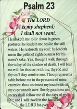 Psalm 23, The Lord is my Shepherd Prayer, 5 1/2" x 4" Refrigerator Fridge Magnet