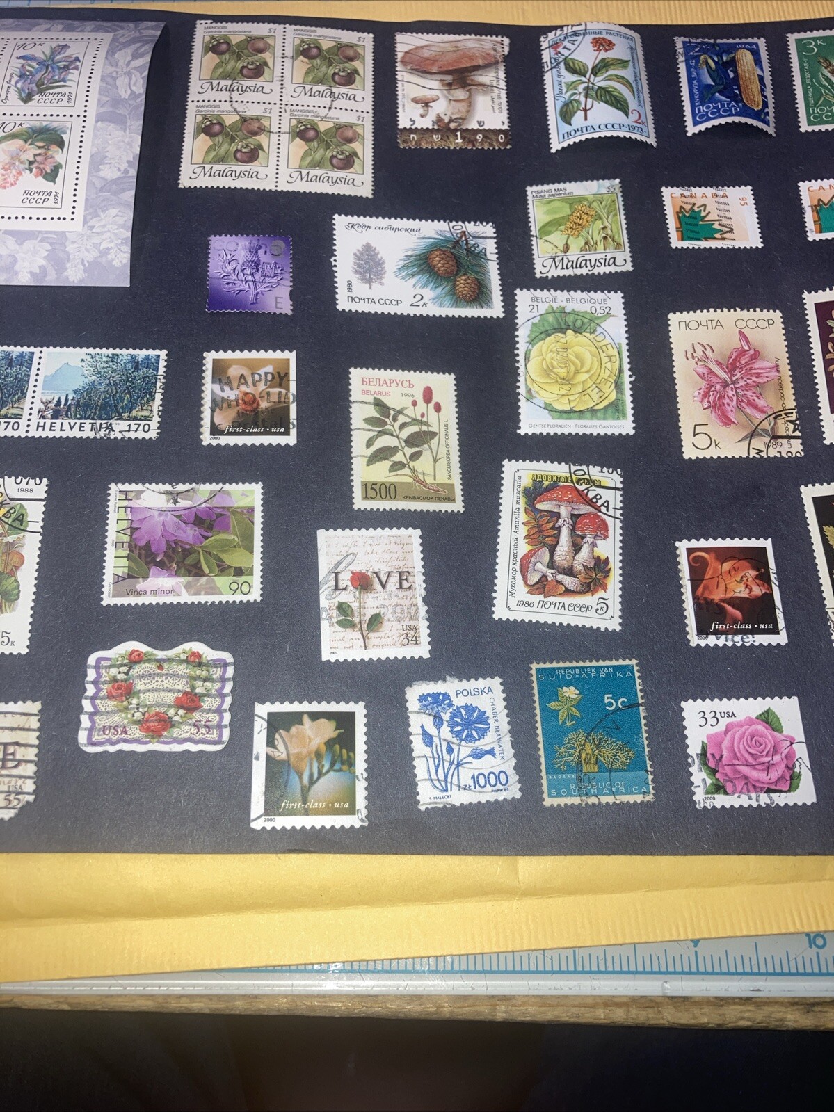 Picture 13 of 18