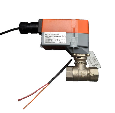 Belimo 3/4'' B217B Valve + TFRB24-SR HVAC Damper Assembly NO/FO CV 4.7, 4011, 24V