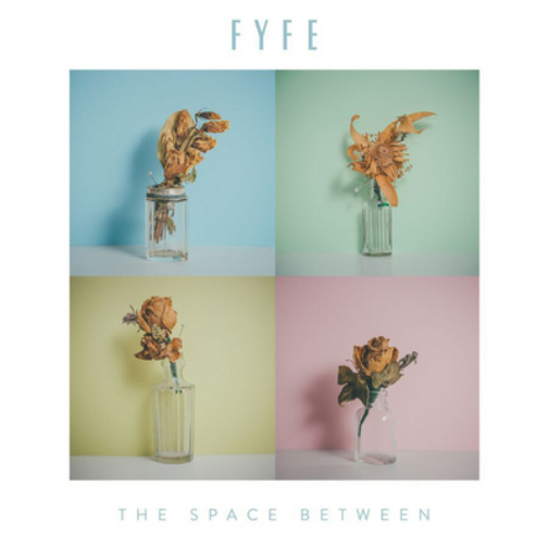 Fyfe The Space Between (CD) Album