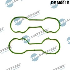 DICHTUNGSSATZ, ANSAUGKRÜMMER - DR.MOTOR AUTOMOTIVE DRM091S