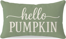Hello Pumpkin Fall Throw Pillow Covers 12x20 20" x 12" Pack of 1 Sage Green