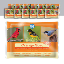 Blue Seal Orange Suet Cakes For Wild Birds - No Mess Suet Feed Food For