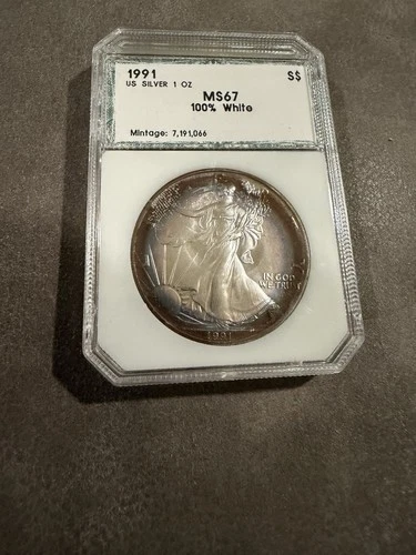 1991 $1 American Silver Eagle PCGS MS67~ Beautiful Blueberry Toning Color