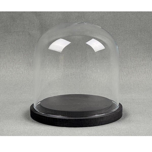 EMH Small Glass Dome Display Cloche Black Wooden Base 10 x 10 cm