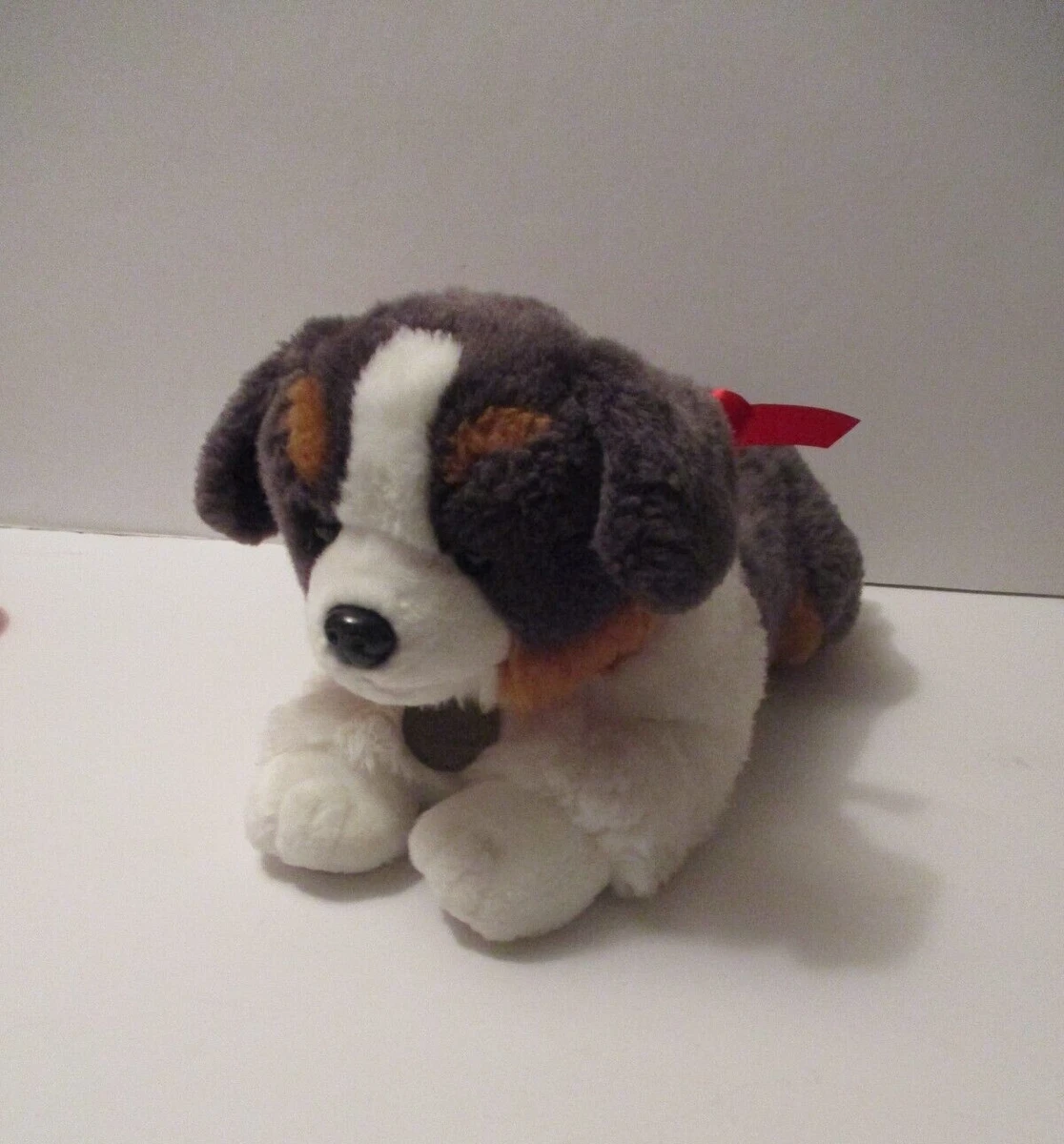 Miyoni by aurora dog discount