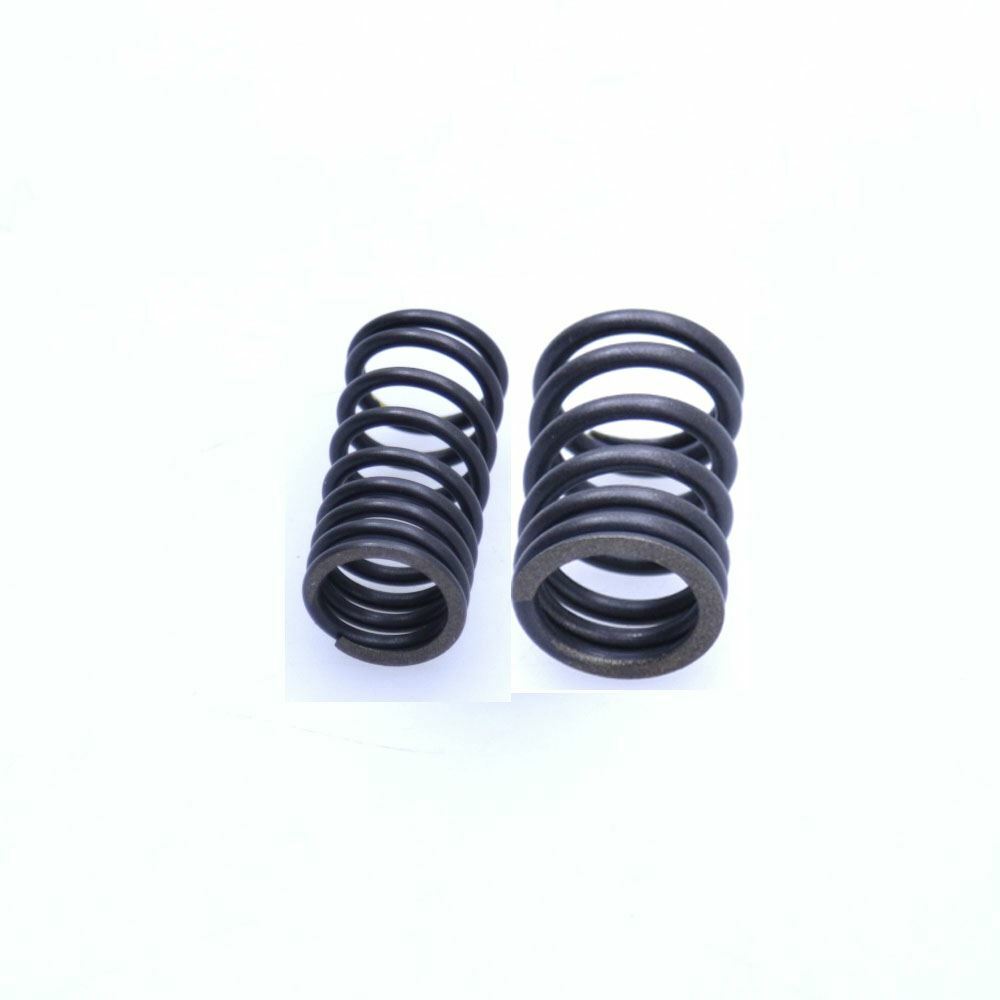 K157FMI Valve Springs for Sinnis Retrostar 125 13-16