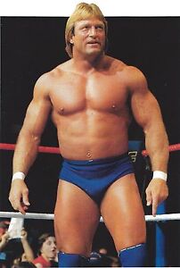 Image result for paul orndorff