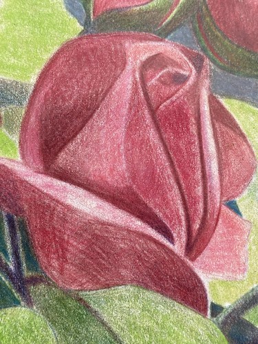Vintage Original Colored Pencil Still Life Floral Flower Roses Drawing Painting - Picture 19 of 22