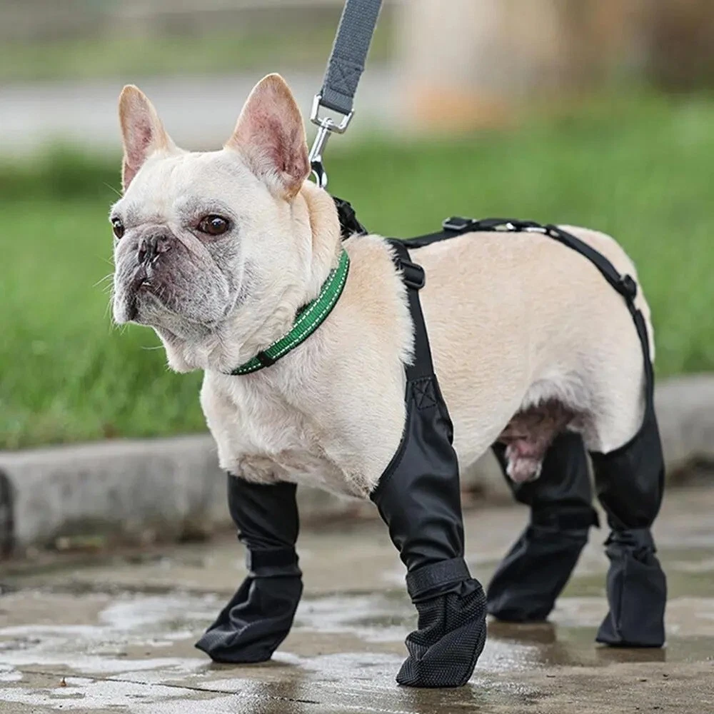 Waterproof Dog Shoes Adjustable Pet Product New Dog Boots French Bulldog