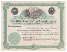 Certificado de acciones de Pitkin Mountain Boy Mining Company (Colorado)