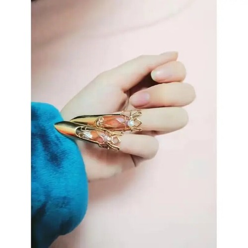 Fingernagel alte chinesische Nagelrüstung Cosplay Fingernagelabdeckungen modern Hanfu - Bild 8 von 14