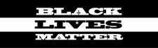 Black Lives Matter 13 Oz Vinyl Banner Sign 2 x 4' w Four Grommets