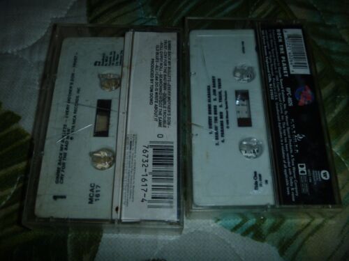 LOT 2 CASSETTE TAPE LYNYRD SKYNYRD 70s SOUTHERN ROCK OUTLAWS BLACKFOOT MOLLY HAT - Picture 3 of 4