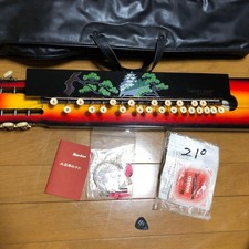 Taishogoto Nagoya Harp Special Used Dusty Back Minor Mold Acoustic Instrument tt