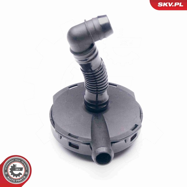 Esen Skv Ventil KurbelgehäUseentlüFtung 31SKV024 FüR Vw Passat B5 3B3 Variant A6-image