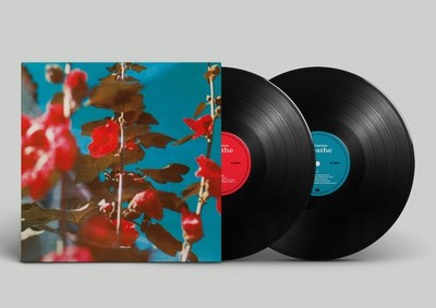 Chad Lawson Breathe (Vinyl) 12'' Album