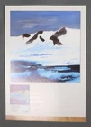 MayfairStamps Australian Antarctica Territory FDC Sydney Nolan's Volcanic Ridge