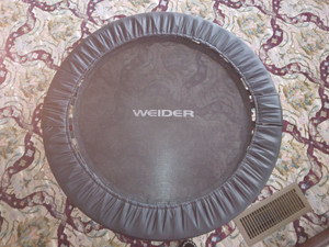 WEIDER 38" Mini Trampoline Rebounder Adult or Kid Home Gym EUC sold out