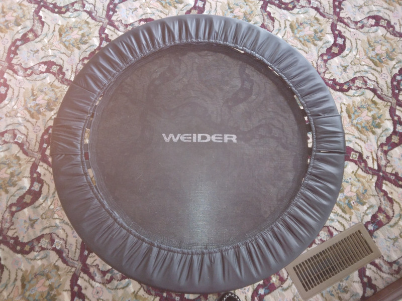 WEIDER 38" Mini Trampoline Rebounder Adult or Kid Home Gym EUC sold out