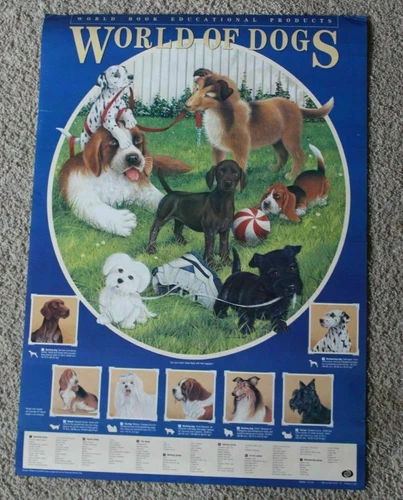 World Book of Dogs 1991 American Kennel Club 8 Pix Poster FVF