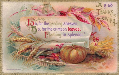 Lovely Thanksgiving Colors with Gold Accents & Border Embossed Winsch Postcard
