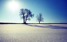 Landscape nature trees outdoors snow winter ice Custom Gaming Mat Desk