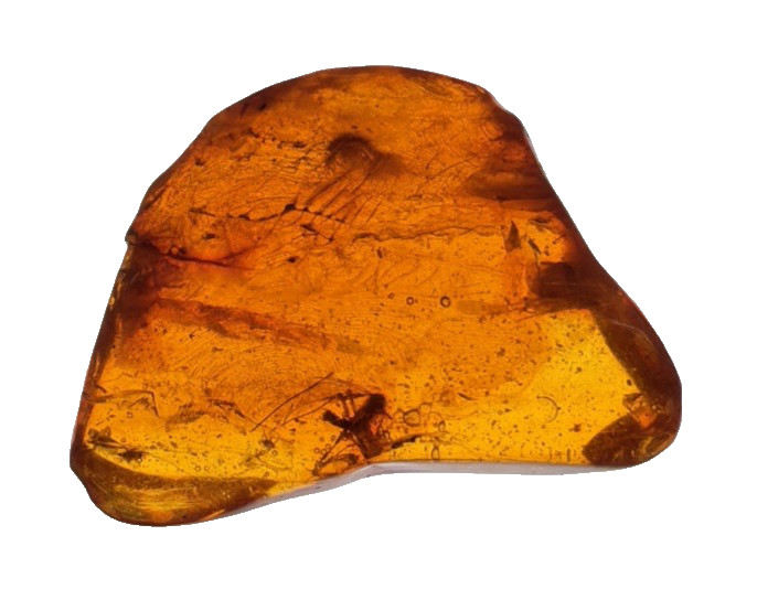 RARE DUAL FLIES LONG LEGGED MIDGES GENUINE BALTIC AMBER FOSSIL 4.19G SPECIMEN