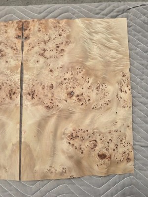 natural poplar burl wood veneer