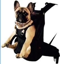 Dogcarrier Hunderucksack Neu Schwarz, Größe Small 5-10kg Dogcarrier Hunderucksack Neu Schwarz, Größe Small 5-10kg