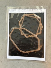 Spellbinders Large Die of Month June 2020 Geometrical Floral Frames Card Die