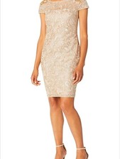 Calvin Klein | Embellished Lace Cap-Sleeve Sheath Dress | Nude & Gold | sz 14