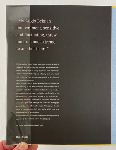 James Ensor, 2005, Ausstellungskatalog, herausgegeben von Pfeiffer und Hollein, HCDJ, sehr guter Zustand - Bild 5 von 24
