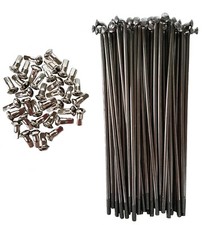 Zündapp KS 100 Speiche, Speichen, Speichensatz VA Edelstahl M3,5 x 147, 95°
