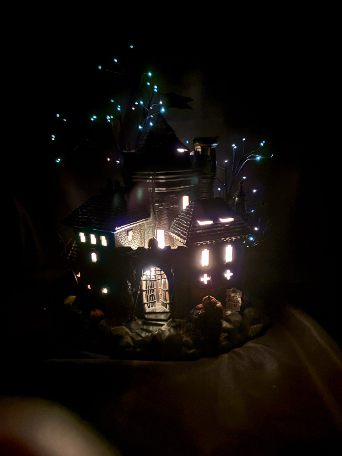 Picture 12 of 18