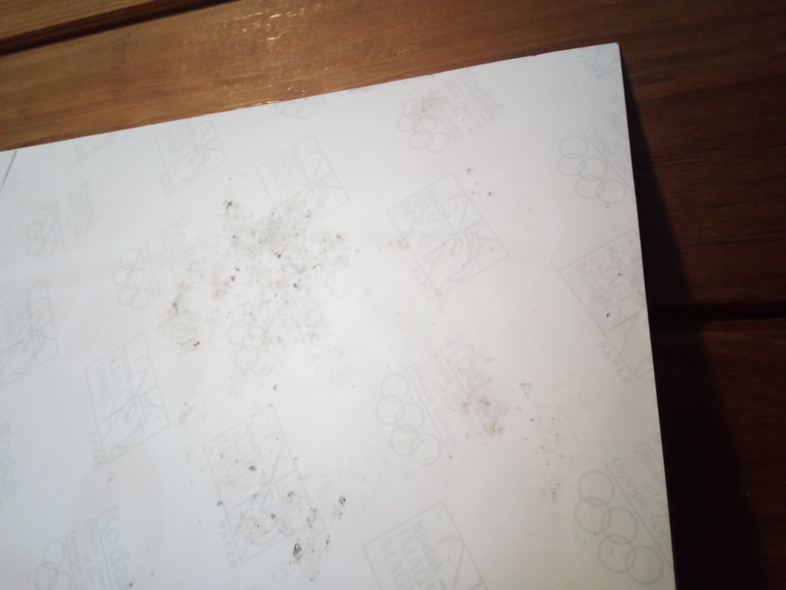Bild 15 von 24