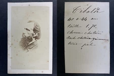 Paolo Tibaldi, Judicial Identification, Paris Commune Vintage cdv albumen pr