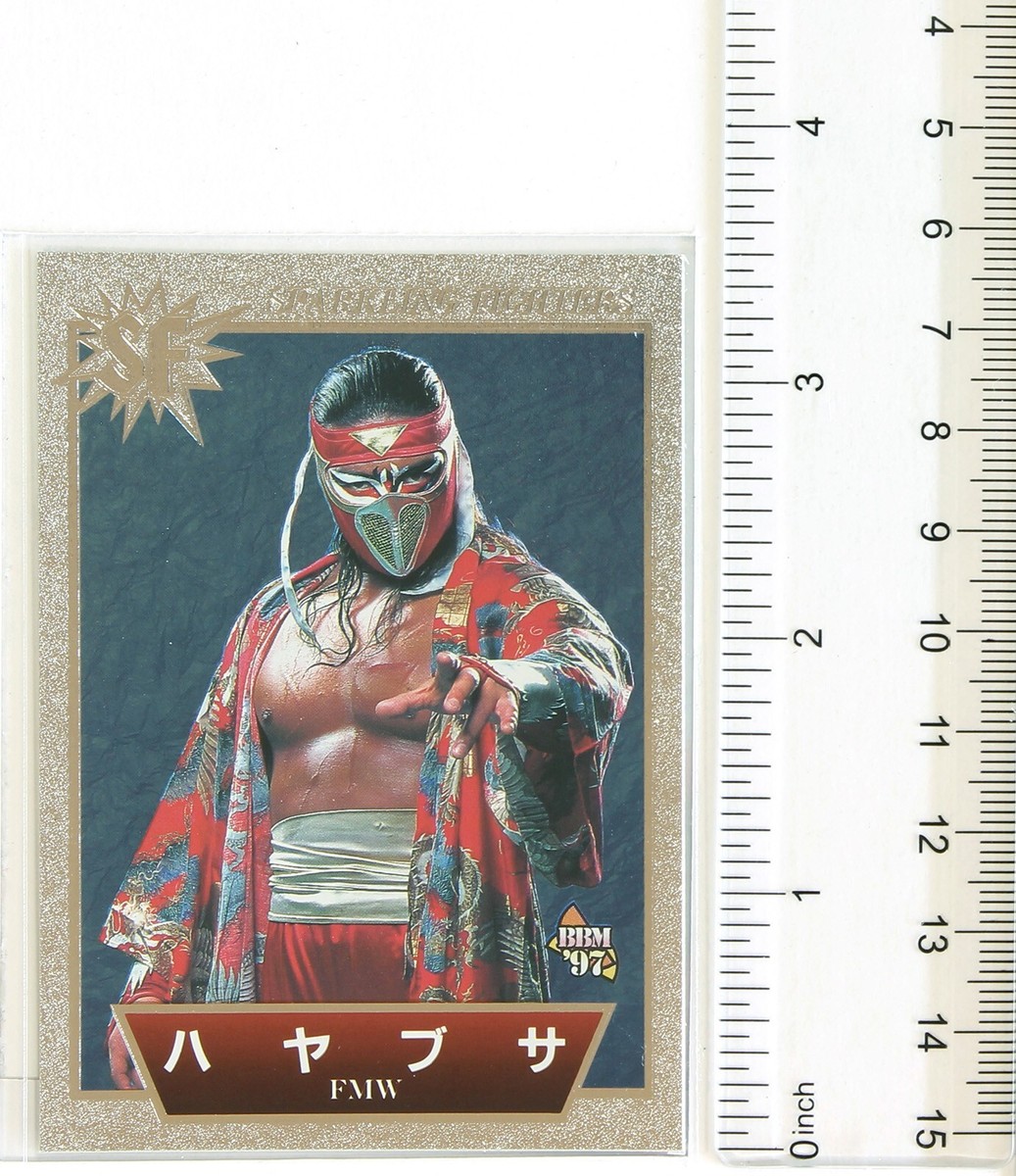 HAYABUSA (FMW) - 1997 BBM Pro-Wrestling Holo card | eBay