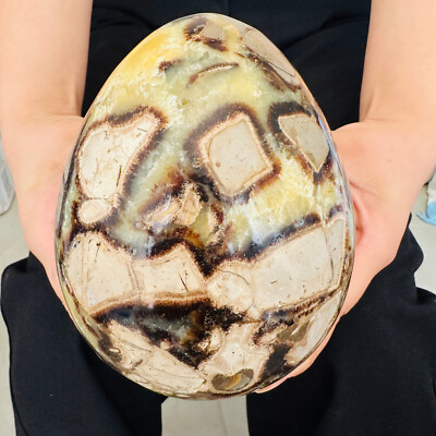 5.06LB Natural Dragon Septarian Geodetic Survey Quartz Crystal Egg Healing2300g