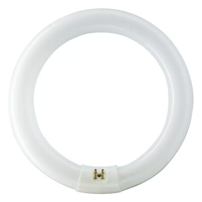 Philips G10q  Leuchstoffröhre MASTER TL-E Circular 32W/840