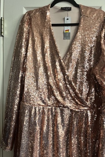 NWT Fabulous Lane Bryant Rose Gold Sequined Dress Size 22 - Afbeelding 2 van 5